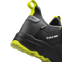 Vapor 3 GTX Low Solid gear