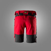 AllroundWork stretchshorts